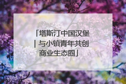塔斯汀中国汉堡｜与小镇青年共创商业生态圈