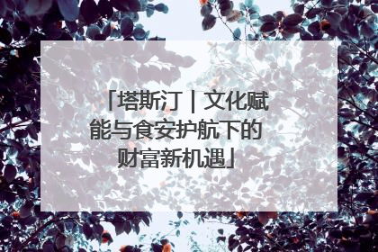 塔斯汀｜文化赋能与食安护航下的财富新机遇
