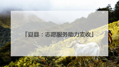 夏县：志愿服务助力麦收