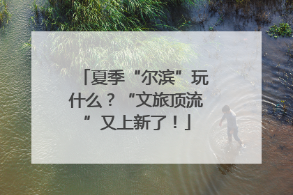 夏季“尔滨”玩什么？“文旅顶流”又上新了！