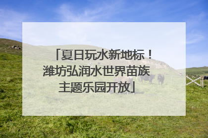 夏日玩水新地标！潍坊弘润水世界苗族主题乐园开放