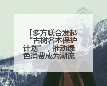 多方联合发起“古树名木保护计划”，推动绿色消费成为潮流丨新经济观察