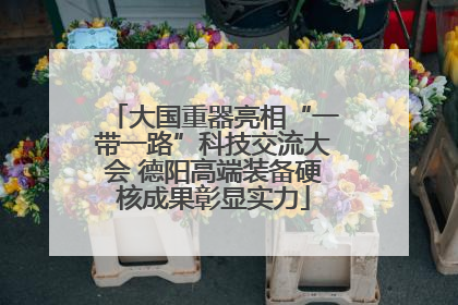 大国重器亮相“一带一路”科技交流大会 德阳高端装备硬核成果彰显实力