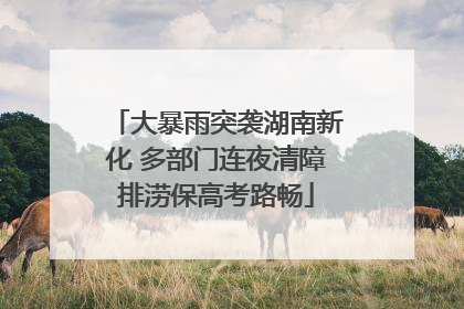 大暴雨突袭湖南新化 多部门连夜清障排涝保高考路畅