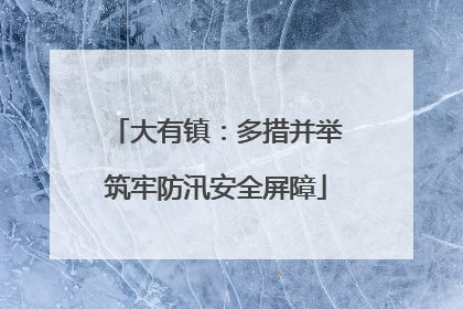 大有镇：多措并举筑牢防汛安全屏障