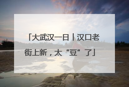 大武汉一日︱汉口老街上新，太“豆”了