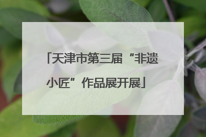 天津市第三届“非遗小匠”作品展开展