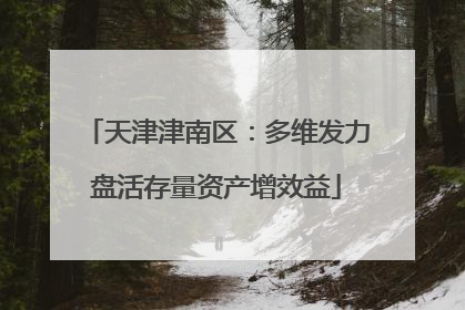 天津津南区：多维发力盘活存量资产增效益