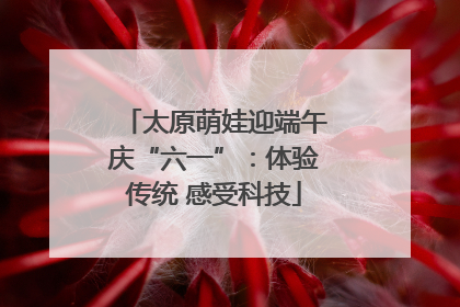 太原萌娃迎端午庆“六一”：体验传统 感受科技
