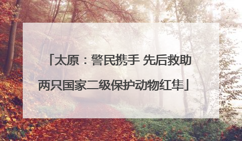 太原：警民携手 先后救助两只国家二级保护动物红隼