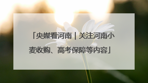 央媒看河南｜关注河南小麦收购、高考保障等内容