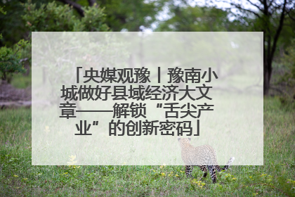 央媒观豫丨豫南小城做好县域经济大文章——解锁“舌尖产业”的创新密码