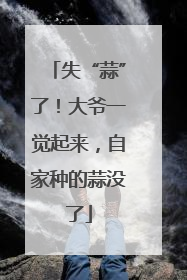 失“蒜”了！大爷一觉起来，自家种的蒜没了