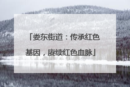 娄东街道：传承红色基因，赓续红色血脉