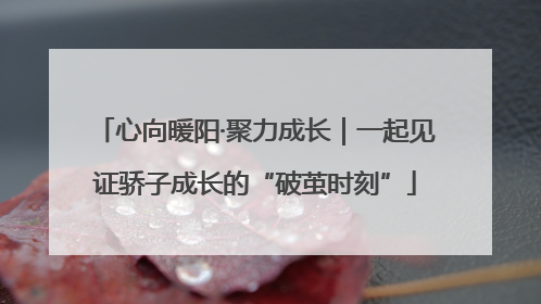 心向暖阳·聚力成长｜一起见证骄子成长的“破茧时刻”