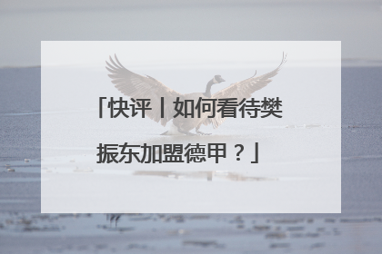 快评丨如何看待樊振东加盟德甲？