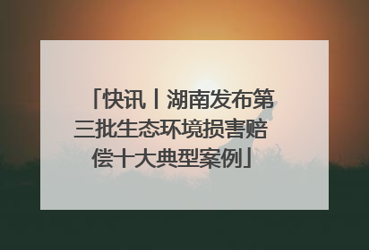 快讯丨湖南发布第三批生态环境损害赔偿十大典型案例