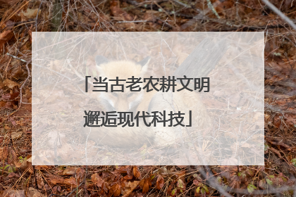 当古老农耕文明邂逅现代科技