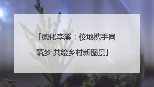 德化李溪：校地携手同筑梦 共绘乡村新图景