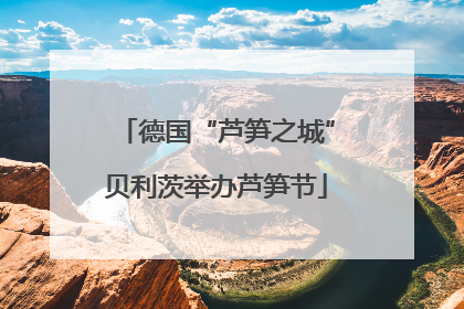 德国“芦笋之城”贝利茨举办芦笋节