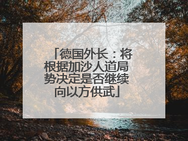 德国外长：将根据加沙人道局势决定是否继续向以方供武