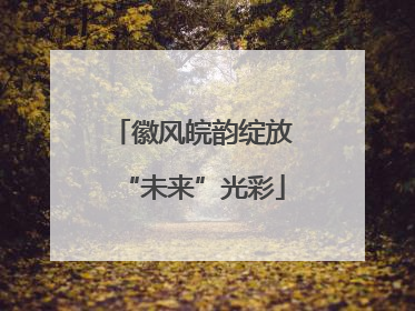 徽风皖韵绽放“未来”光彩