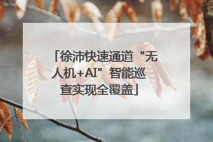 徐沛快速通道“无人机+AI”智能巡查实现全覆盖
