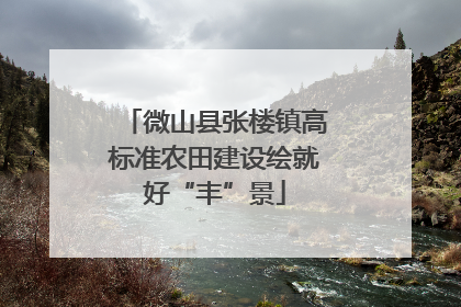 微山县张楼镇高标准农田建设绘就好“丰”景
