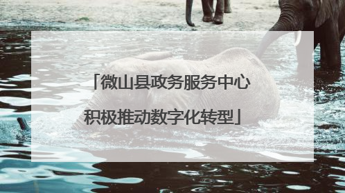 微山县政务服务中心积极推动数字化转型