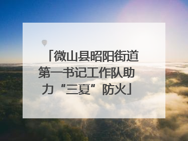 微山县昭阳街道第一书记工作队助力“三夏”防火