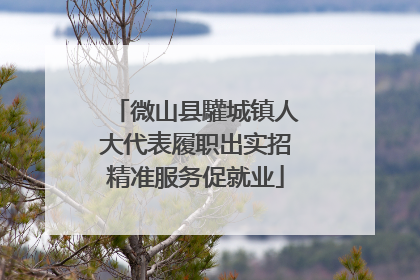 微山县驩城镇人大代表履职出实招精准服务促就业