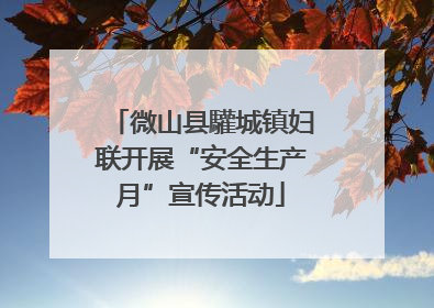 微山县驩城镇妇联开展“安全生产月”宣传活动