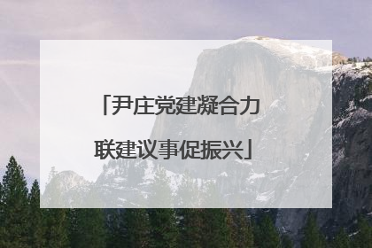 尹庄党建凝合力 联建议事促振兴