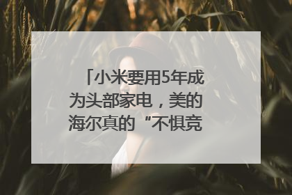 小米要用5年成为头部家电，美的海尔真的“不惧竞争”？｜热财经