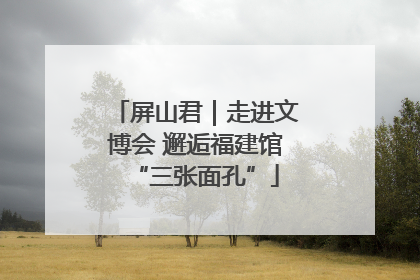 屏山君｜走进文博会 邂逅福建馆“三张面孔”