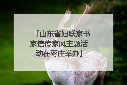 山东省妇联家书家信传家风主题活动在枣庄举办