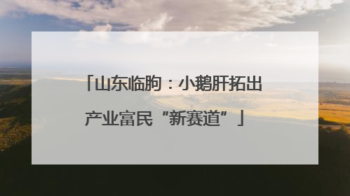 山东临朐：小鹅肝拓出产业富民“新赛道”