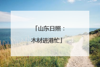 山东日照：木材进港忙