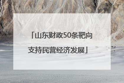 山东财政50条靶向支持民营经济发展