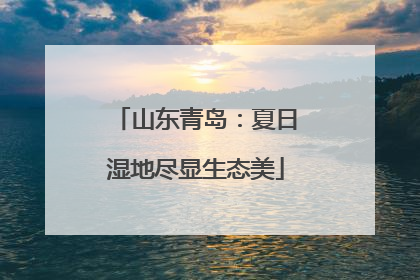 山东青岛：夏日湿地尽显生态美