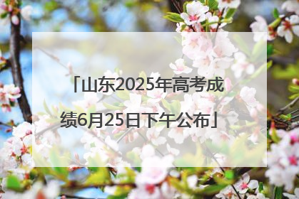 山东2025年高考成绩6月25日下午公布