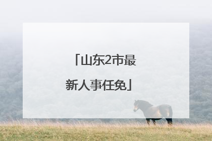 山东2市最新人事任免