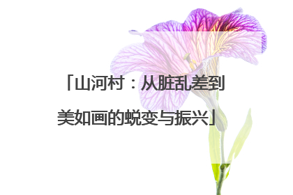 山河村：从脏乱差到美如画的蜕变与振兴
