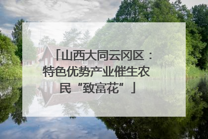 山西大同云冈区：特色优势产业催生农民“致富花”