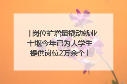岗位扩增量撬动就业 十堰今年已为大学生提供岗位2万余个