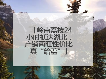 岭南荔枝24小时抵达湖北，产销两旺性价比真“给荔”