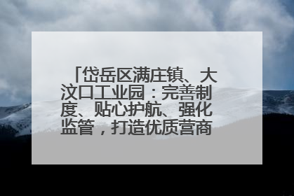 岱岳区满庄镇、大汶口工业园：完善制度、贴心护航、强化监管，打造优质营商“强磁场”