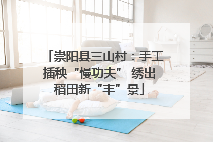 崇阳县三山村：手工插秧“慢功夫” 绣出稻田新“丰”景