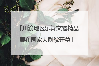 川渝地区乐舞文物精品展在国家大剧院开幕
