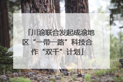 川渝联合发起成渝地区“一带一路”科技合作“双千”计划